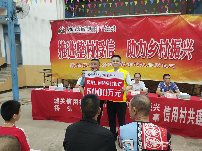 城關(guān)信用社為橋頭村整村授信5000萬元_副本.jpg