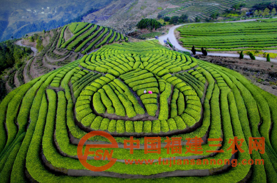 福建省柘榮縣坑坪村：“硒鋅”呵護(hù)走出致富新“稻”路1967.png