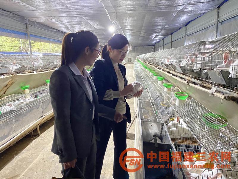 圖2：永定聯(lián)社金融助理到萬家兔業(yè)專業(yè)合作社開展實地調(diào)查_副本.jpg