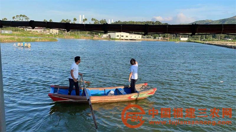 龍海農(nóng)商銀行以“五色聚力”黨建品牌為抓手，積極開展“我為群眾辦實(shí)事”活動4：金融助理了解漁民養(yǎng)殖情況.jpg