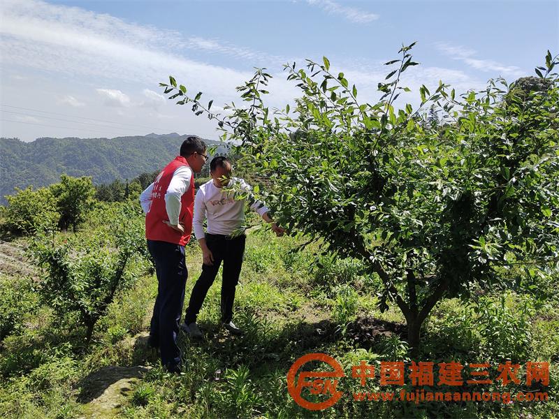 屏南聯(lián)社金融助理走訪了解客戶(hù)種植情況.jpg