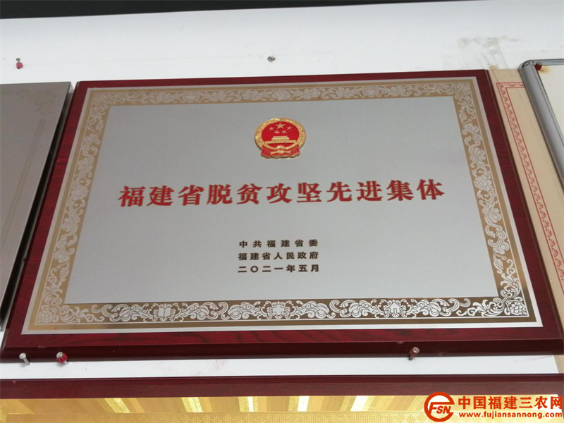 長汀縣河田鎮(zhèn)蘆竹村榮獲“福建省脫貧攻堅先進集體”.png