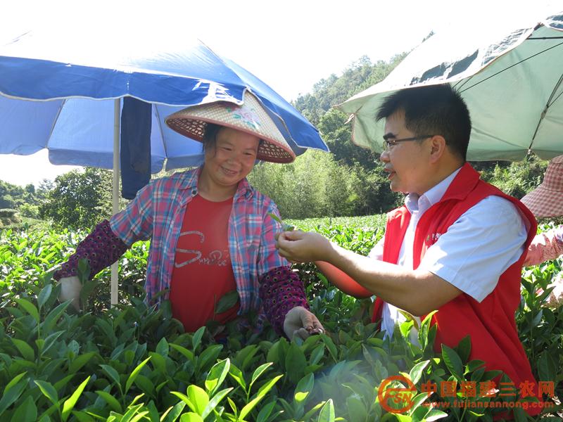 漳平農(nóng)商銀行金融助理深入南洋茶園調(diào)查農(nóng)戶金融需求.JPG