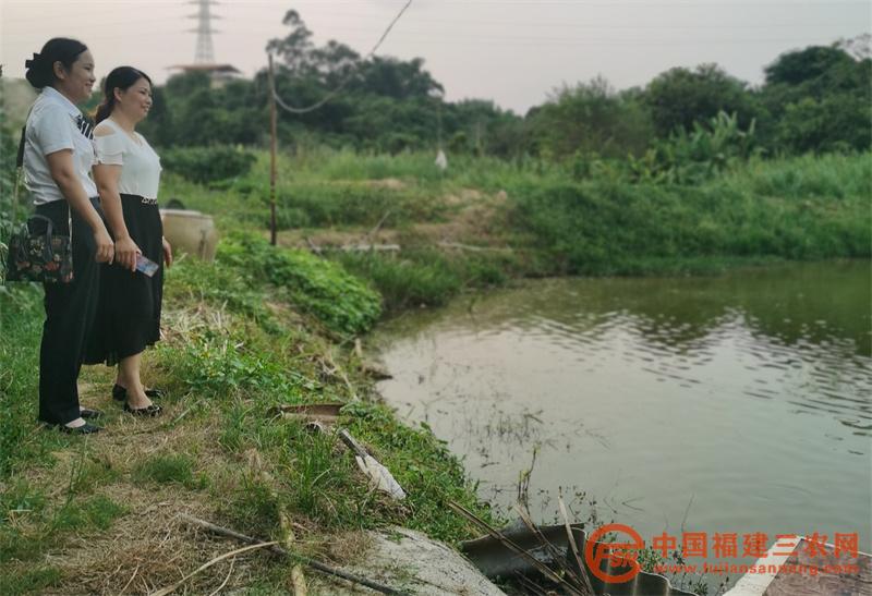 林燕春走訪魚塘照片.jpg