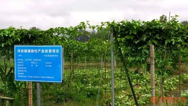 微信圖片_20211104154554.jpg