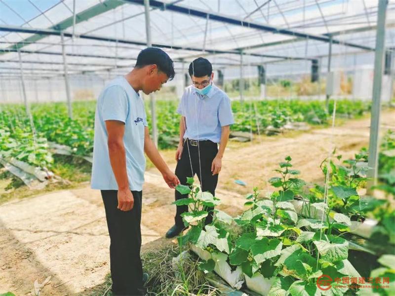 長樂農(nóng)商銀行金融助理深入青禾現(xiàn)代農(nóng)業(yè)專業(yè)合作社調(diào)研生產(chǎn)經(jīng)營情況.jpg