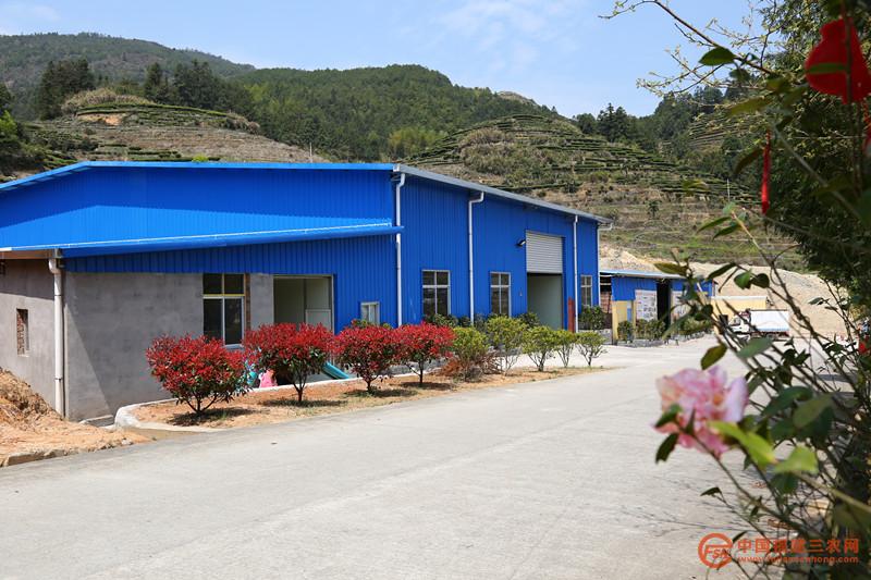 茶葉加工廠外景.jpg