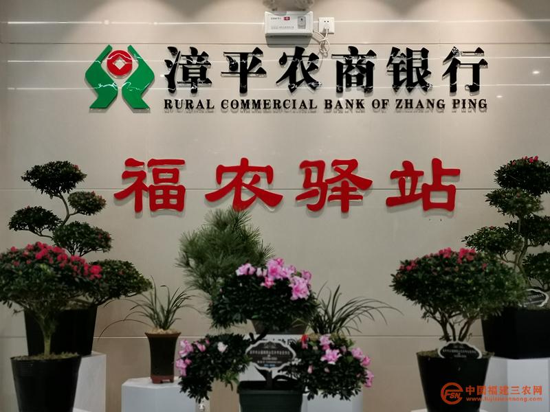 “福農(nóng)驛站”為花農(nóng)提供花卉展銷區(qū)_副本.jpg