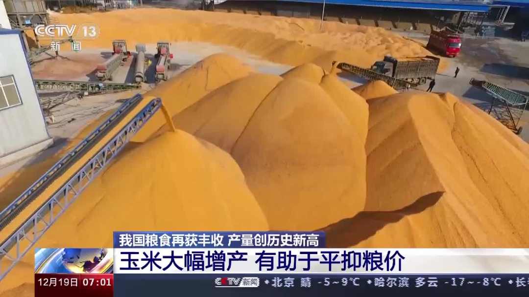 量足價(jià)穩(wěn)！我國糧食產(chǎn)量達(dá)13657億斤，創(chuàng)歷史新高