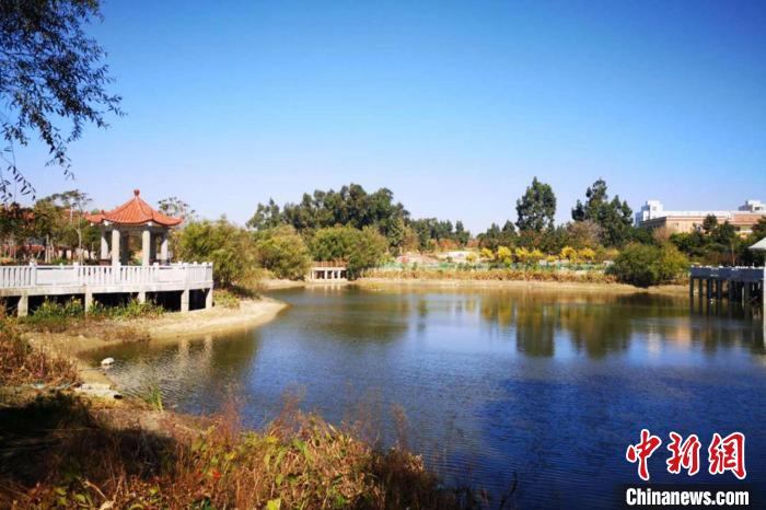 西埔村廢棄石壩垃圾場(chǎng)變身濕地公園。　晉江市農(nóng)業(yè)農(nóng)村局 供圖
