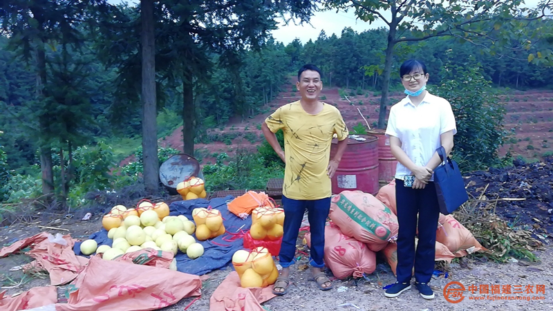 youdu圖片20211228190745.png