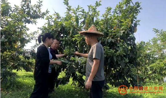 科技特派員駐點(diǎn)服務(wù)指導(dǎo)種植養(yǎng)殖技術(shù).png