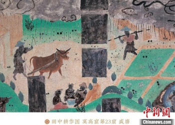 圖片