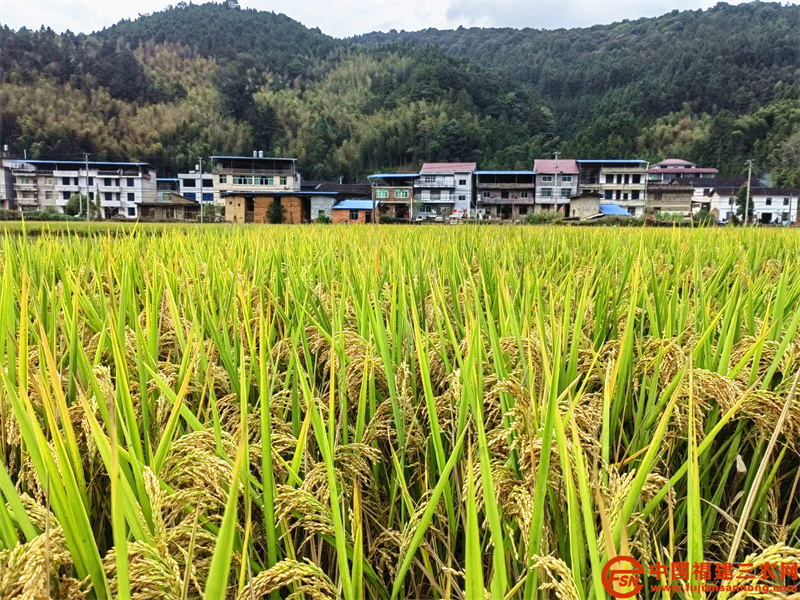 微信圖片_20220117103511.jpg