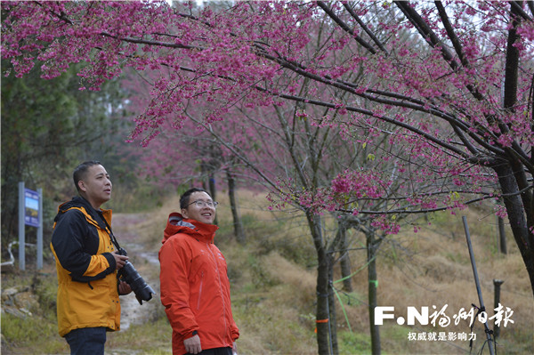 福州：享文旅大餐 過有福之年