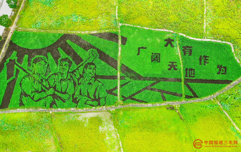 圖片3.png