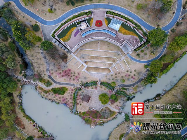 花兒凍齡！晉安公園福建山櫻花賞櫻季延長(zhǎng)