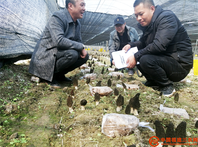 QQ截圖20220228120258.png