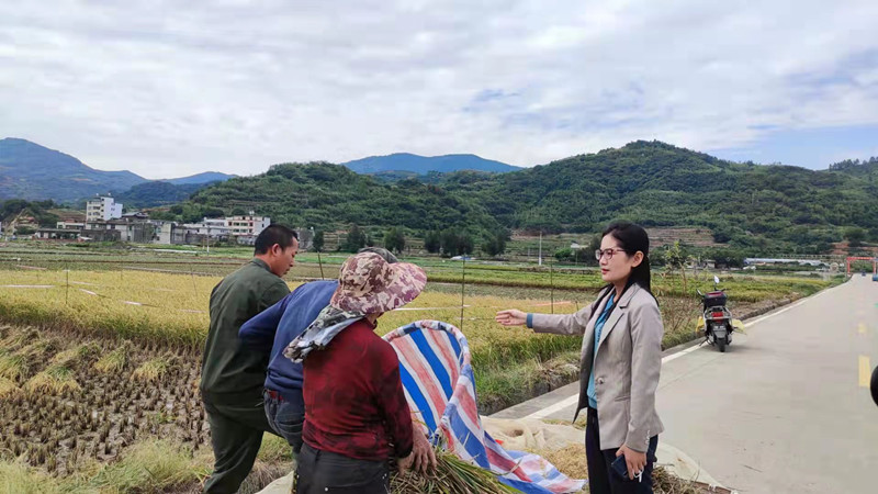 樊麗麗向種植戶了解生產(chǎn)情況.jpg