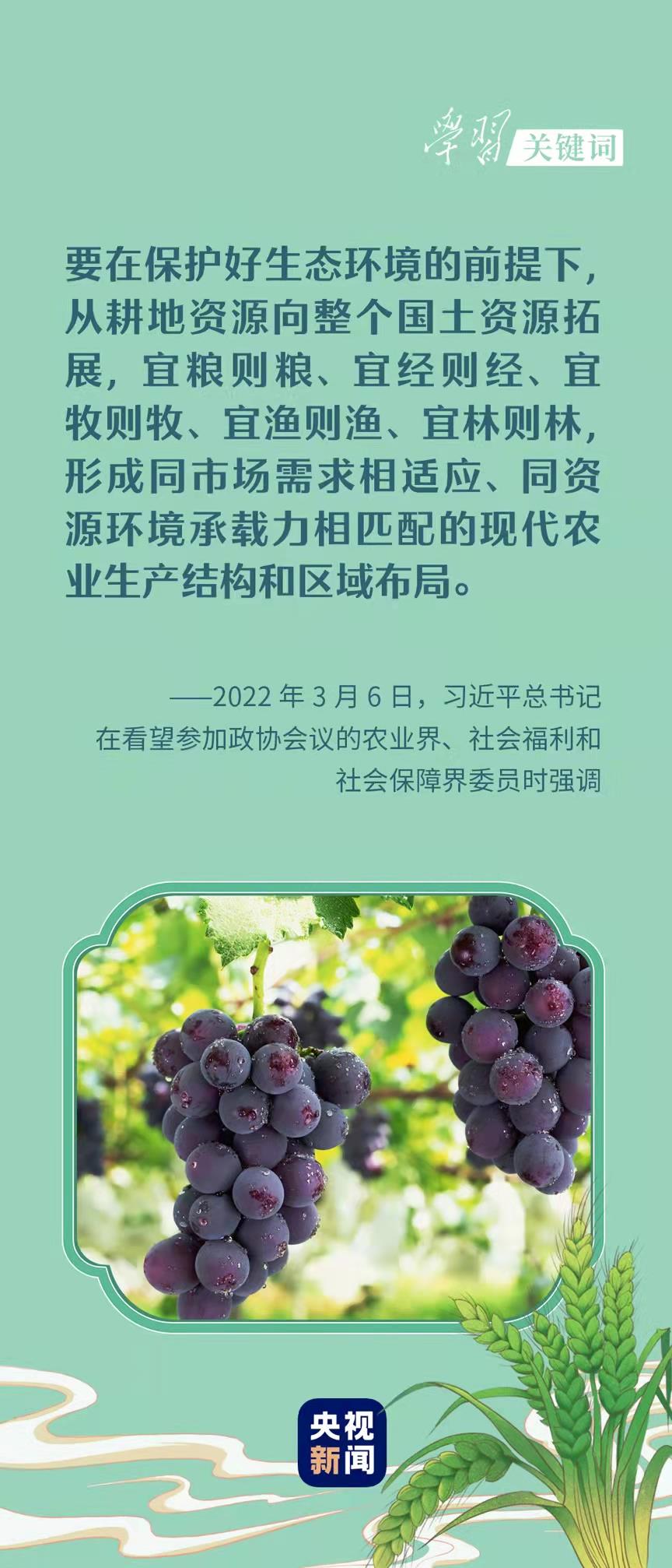 春事看農(nóng)桑丨“大食物觀”托起“舌尖幸?！? width=