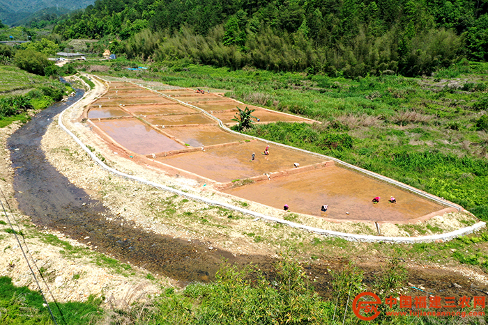 上杭縣溪口鎮(zhèn)大連村開墾拋荒地種植水稻.JPG