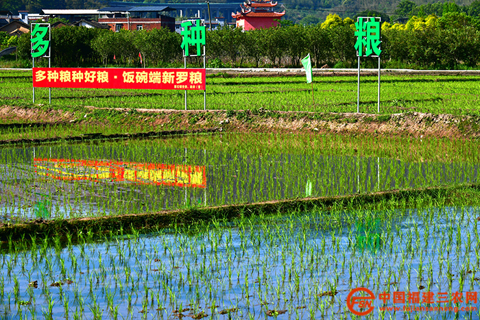 龍巖市新羅區(qū)田野地頭隨處可見的耕地保護宣傳標語.JPG