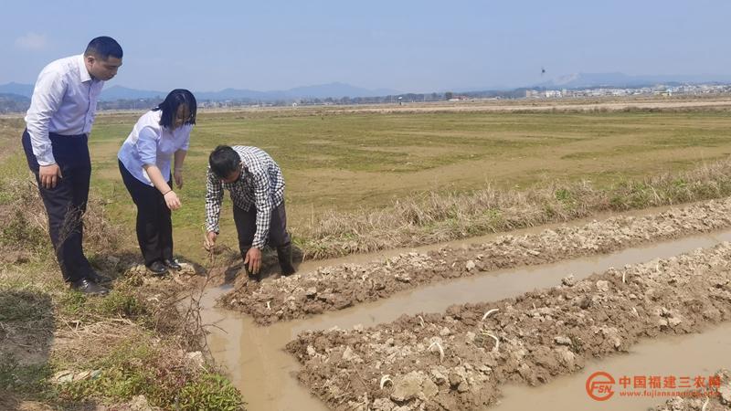 金融助理深入田間地頭問需檳榔芋種植戶.jpg