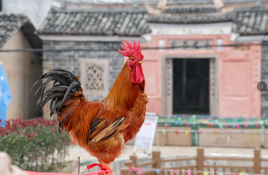 微信截圖_20220419085821.png