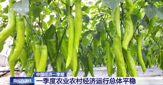 農(nóng)業(yè)農(nóng)村部：一季度農(nóng)民人均可支配收入5778元