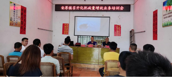 稿4 福建平和：“綠肥+” 柚園“種草”更生態(tài)431.png