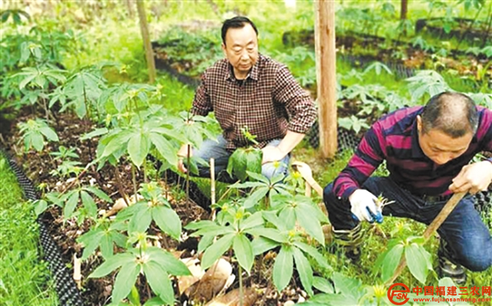 圖片1.jpg