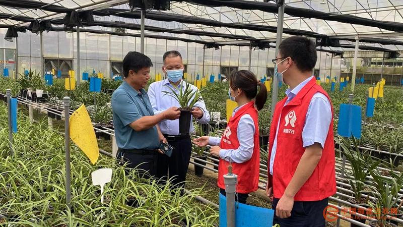 1南靖聯(lián)社金融指導員走訪蘭花種植大戶推介“蘭花貸”.jpg