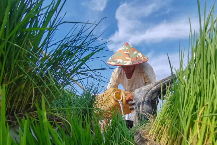 11.俞永椿：投筆從農(nóng)甘當(dāng)種糧人1736.png