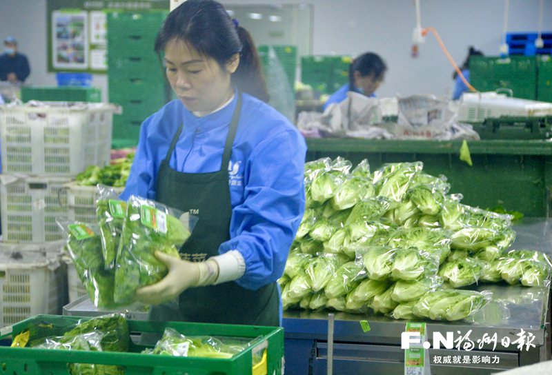 福州：農(nóng)企主動(dòng)“觸網(wǎng)” 直播帶貨火爆