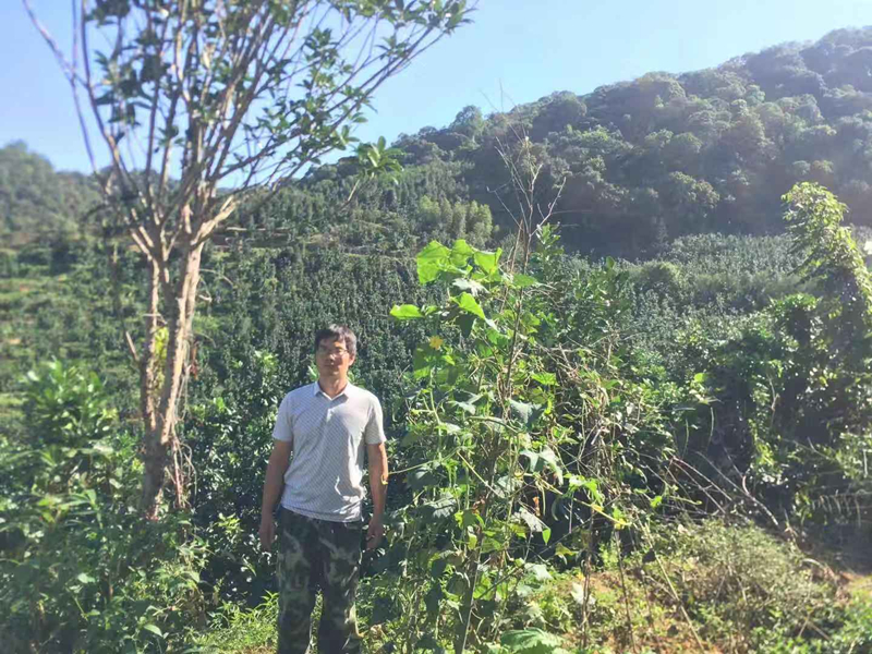 新羅盧中海_副本.jpg