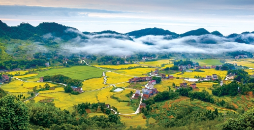 奇跡在巴山渝水間生長