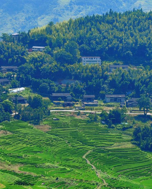 三明尤溪：多彩聯(lián)合梯田 自然鄉(xiāng)村畫卷