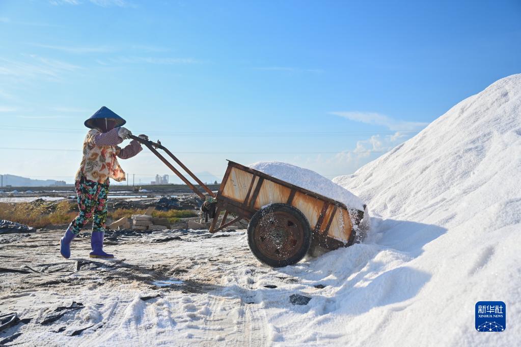 福建莆田：海鹽收獲忙
