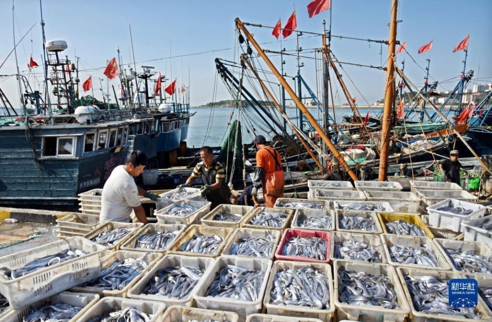 開海歸來魚滿艙