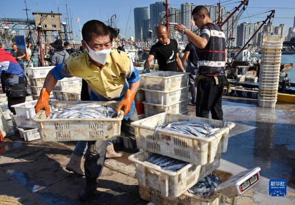 開海歸來魚滿艙