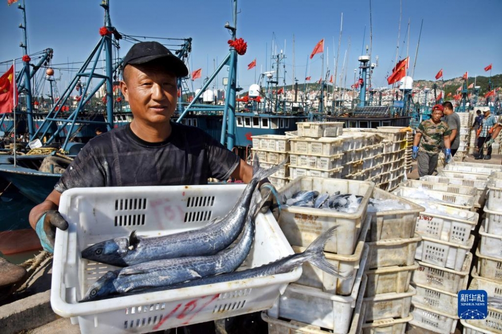 開海歸來魚滿艙