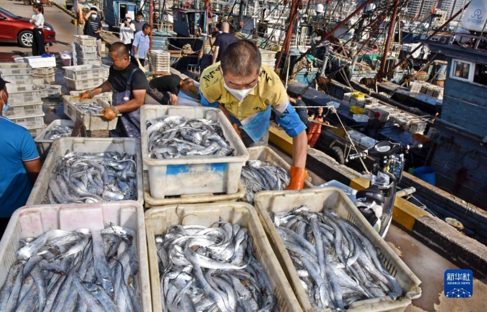 開海歸來魚滿艙