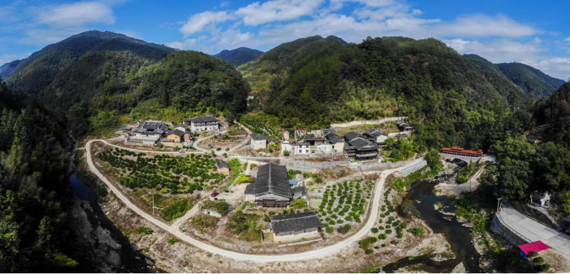 閩清梅洋村：黨員帶富小山村 群眾致富有出路