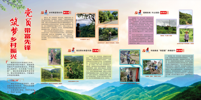 閩清梅洋村：黨員帶富小山村 群眾致富有出路