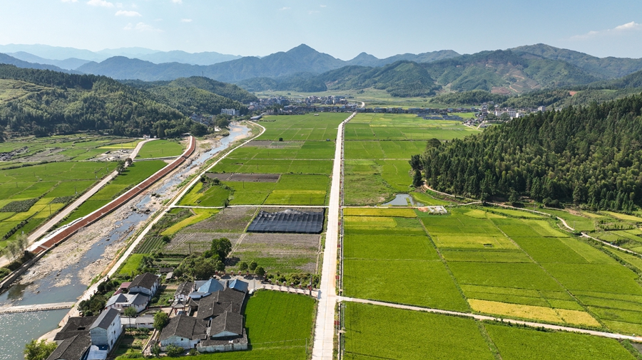 千畝梯田與遠處的村落青山構(gòu)成一幅美麗的畫卷。邱汝泉攝