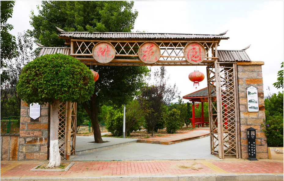 有風(fēng)景更有“錢”景！長樂這個村美翻了