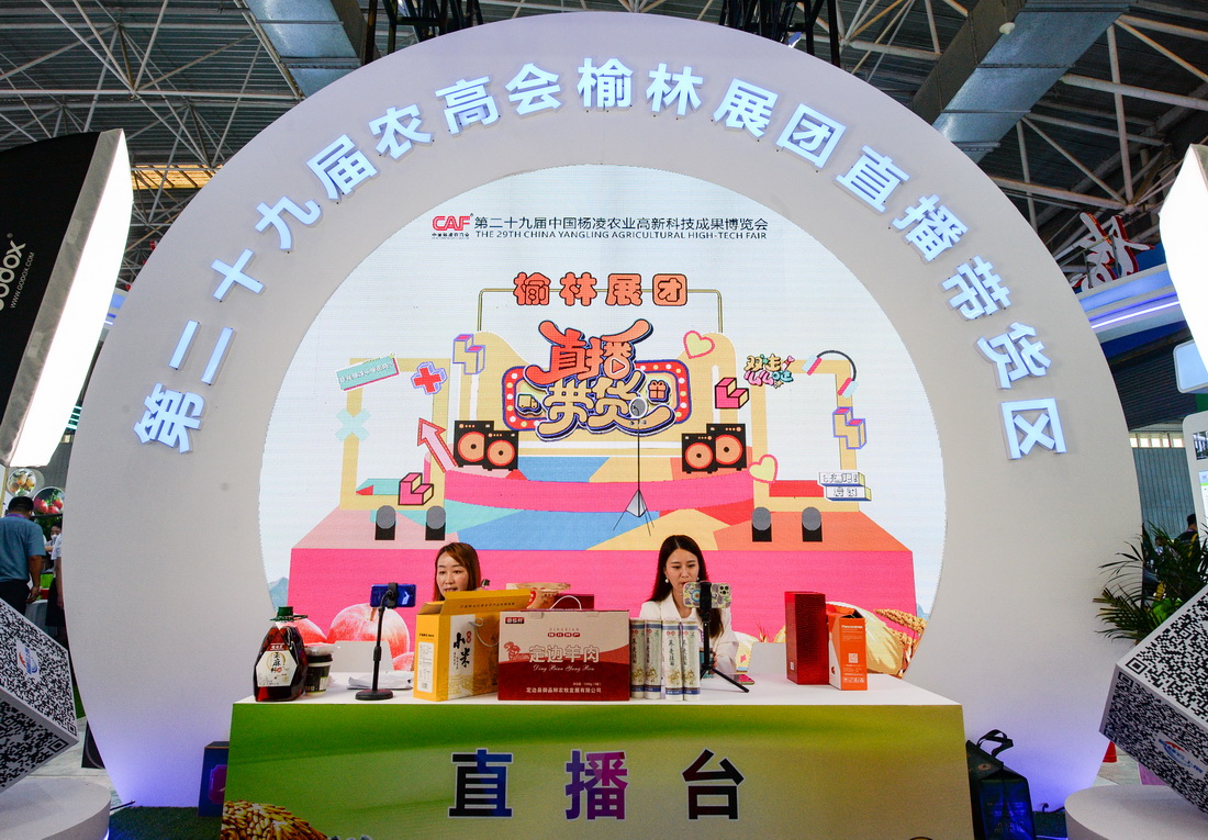 9月15日，在農(nóng)業(yè)科技示范推廣應(yīng)用展館榆林展區(qū)，主播在介紹特色農(nóng)產(chǎn)品。