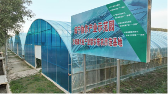 沙塘鎮(zhèn)許溝村閩寧協(xié)作產(chǎn)業(yè)示范園。隆德縣供圖