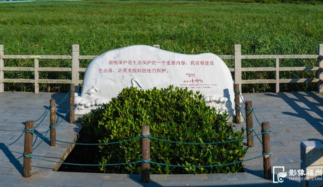 這片大美濕地踏上申遺路！
