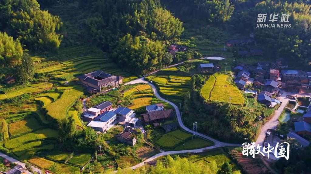 瞰中國｜福建寧化：稻田伴土樓 秋景美如畫